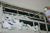 搬家